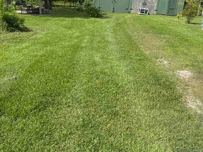 Lawn Care service in Freeport, 77541
