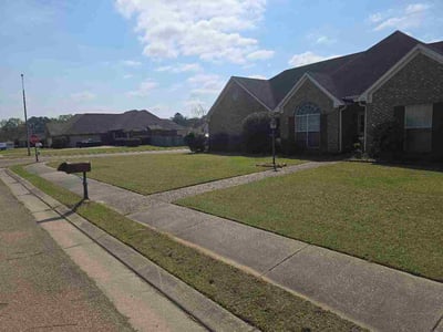 Lawn Care service in Pearl, 39208