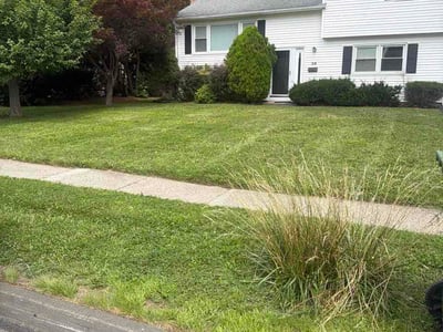 Lawn Care service in West Hartford, 06107
