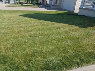Lawn Care service in Newington, 06111