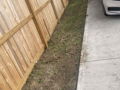 Lawn Care service in Westport, 06880