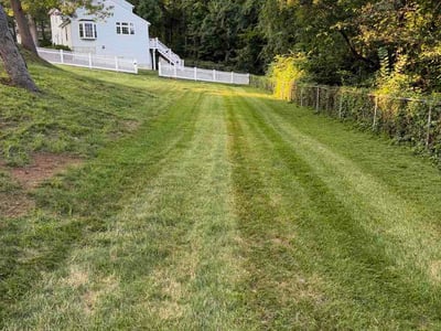 Lawn Care service in Hamden, 06518