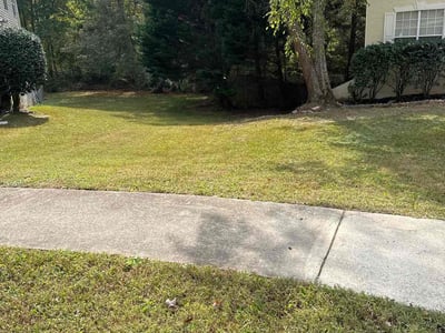 Lawn Care service in Newington, 06111