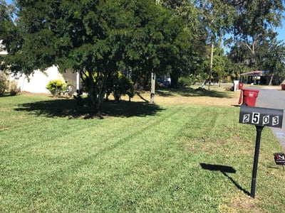 Lawn Care service in Billerica, 01821