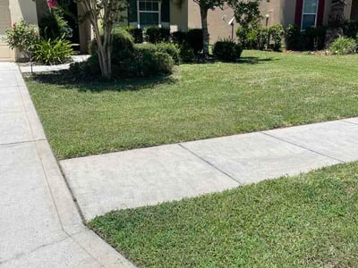 Lawn Care service in Delray Beach, 33444