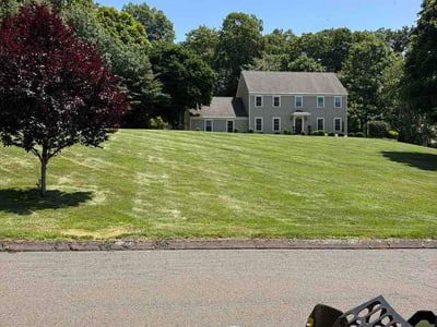 Lawn Care service in Wethersfield, 06109