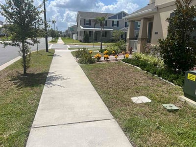 Lawn Care service in Windermere, 34786