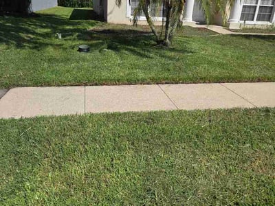 Lawn Care service in Windermere, 34786