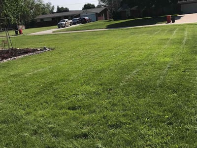 Lawn Care service in Howell, 48843
