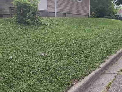 Lawn Care service in Pontiac, 48342