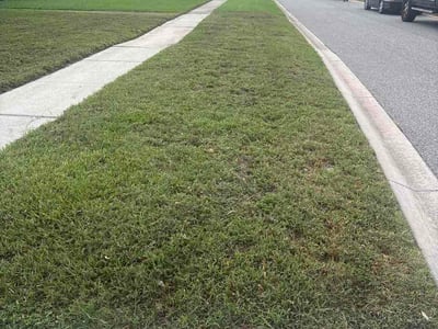 Lawn Care service in Pine Hills, 32808