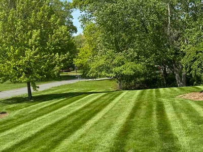 Lawn Care service in Milford, 01757