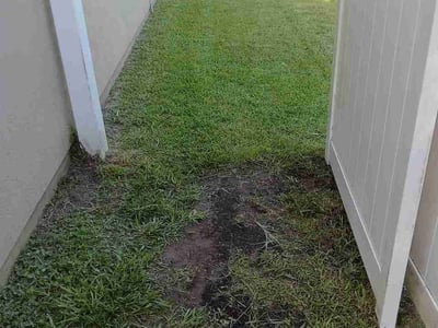 Lawn Care service in Davie, 33328