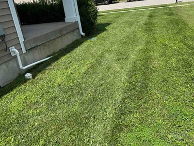 Lawn Care service in Georgetown, 40324