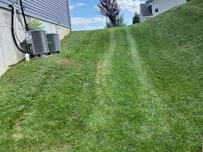 Lawn Care service in Georgetown, 40324