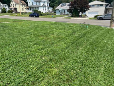 Lawn Care service in Derby, 06418