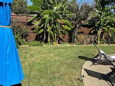 Lawn Care service in Reseda, 91335