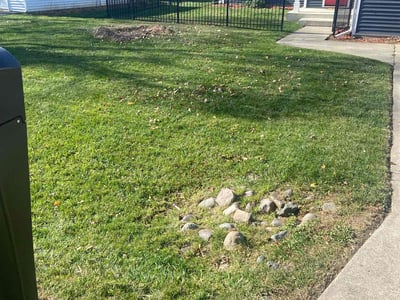 Lawn Care service in Pinckney, 48169