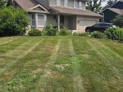 Lawn Care service in Hopkins, 55343