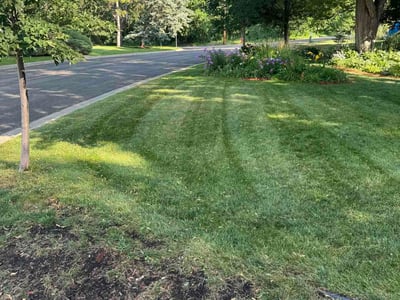 Lawn Care service in Columbia Heights, 55421