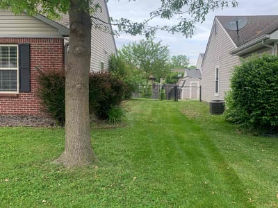 Lawn Care service in Franklin, 46131