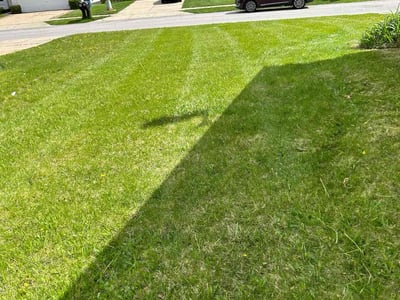 Lawn Care service in Ada, 49301