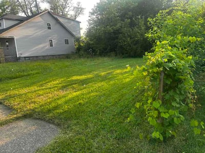 Lawn Care service in Ada, 49301