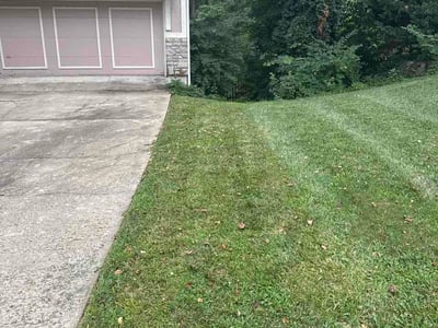 Lawn Care service in Prairie Village, 66208