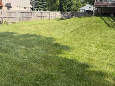 Lawn Care service in Holt, 48842
