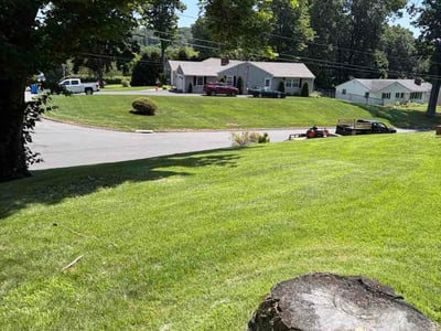 Lawn Care service in Glastonbury, 06033
