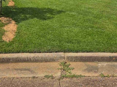 Lawn Care service in Brandon, 39042