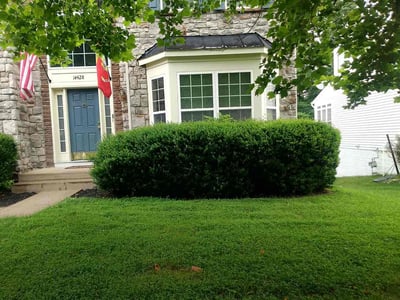 Lawn Care service in Centreville, 20120