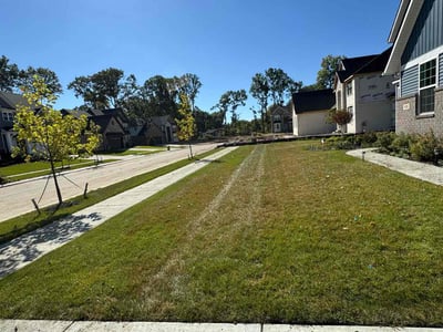 Lawn Care service in South Lyon, 48178