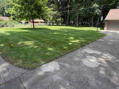 Lawn Care service in Livonia, 48150