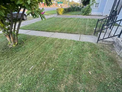 Lawn Care service in Livonia, 48150