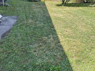 Lawn Care service in Mansfield, 02048