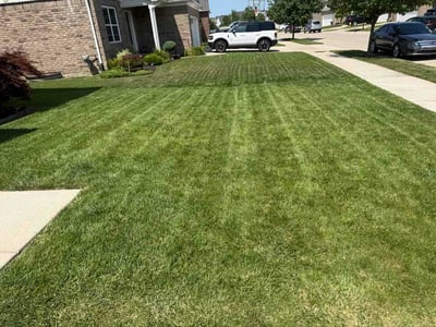 Lawn Care service in Clinton Township, 48036