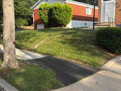 Lawn Care service in Washington, 20036