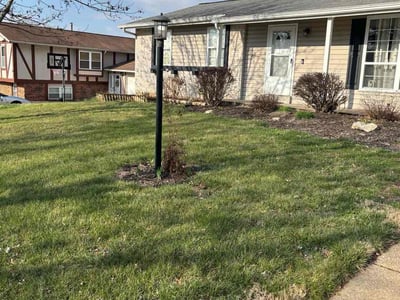 Lawn Care service in Millbury, 01527