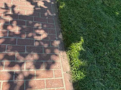 Lawn Care service in Gainesville, 20155