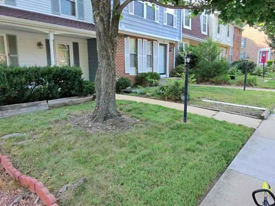 Lawn Care service in Greenbelt, 20770