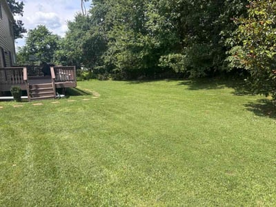 Lawn Care service in Olney, 20832