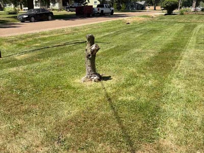 Lawn Care service in Rochester Hills, 48307