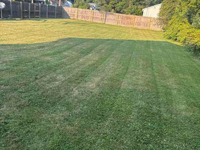 Lawn Care service in Rochester Hills, 48307