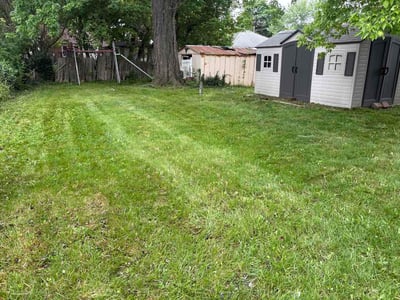 Lawn Care service in Inkster, 48141