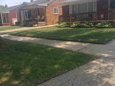 Lawn Care service in Allen Park, 48101