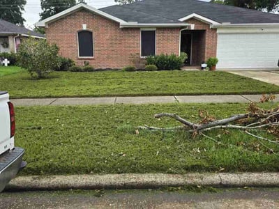 Lawn Care service in Southington, 06489