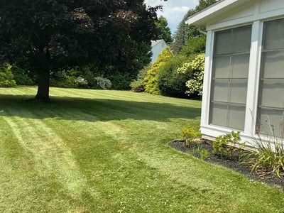 Lawn Care service in Tolland, 06084