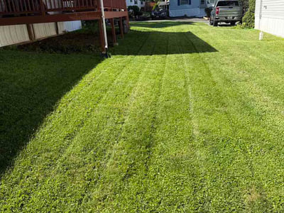 Lawn Care service in Tolland, 06084
