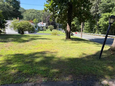 Lawn Care service in Ellington, 06029